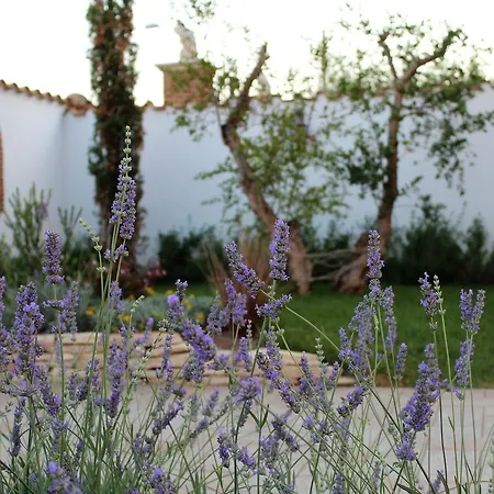 Emotions Bed & Breakfast Fiumicino