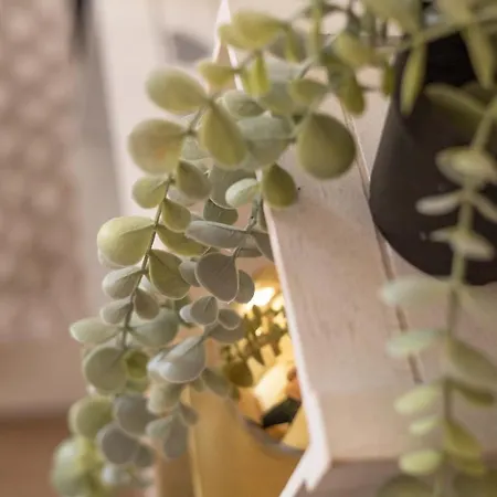 Emotions Alojamento de Acomodação e Pequeno-almoço