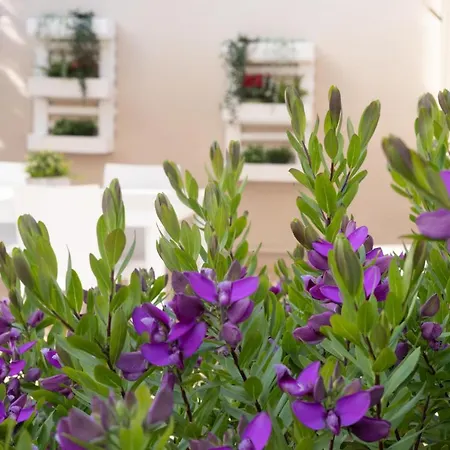 Alojamento de Acomodação e Pequeno-almoço Emotions 3*