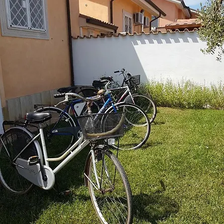 Emotions 3* Fiumicino